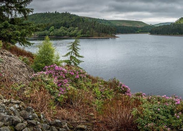 A lake in Derbyshire, England, surrounded by trees and mountains on a cloudy day.