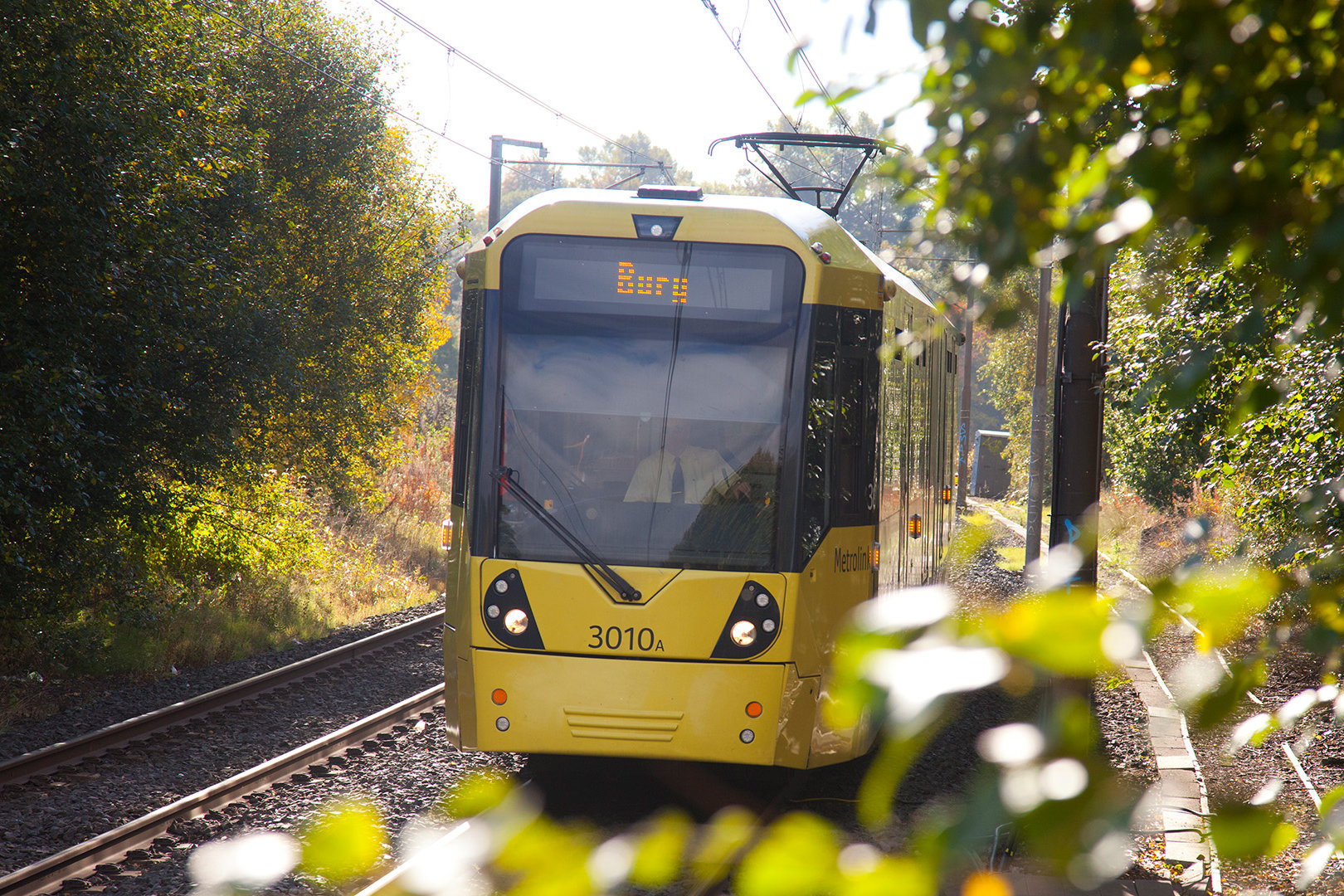 Yellow Metrolink tram on tracks through trees.