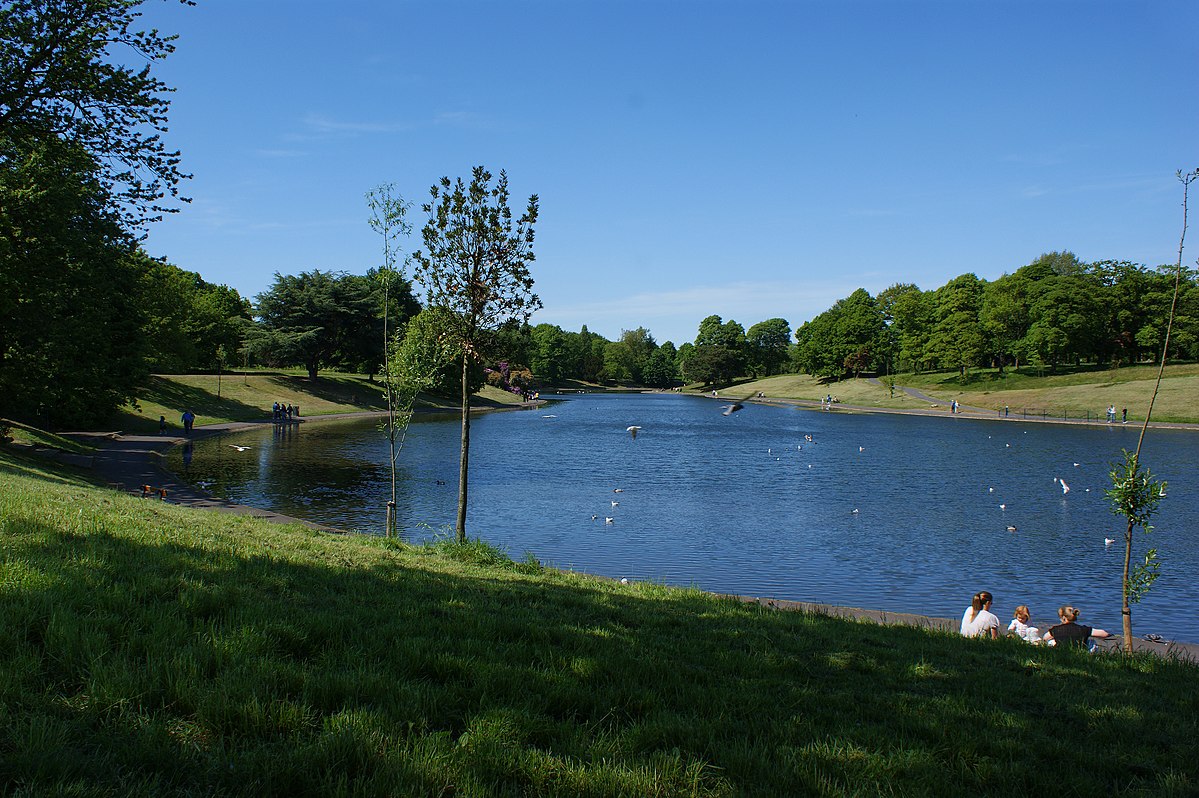 Lake in park with birds and people.