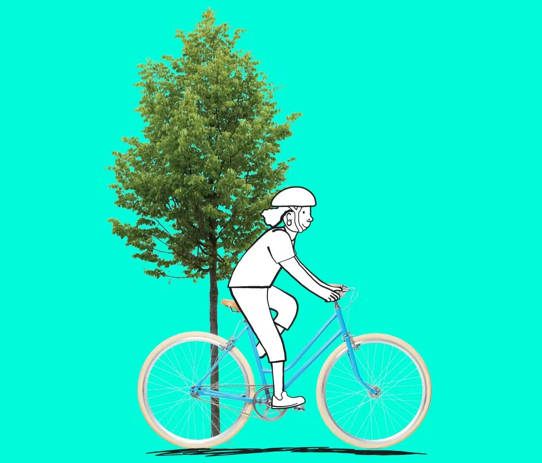 Illustration of a cyclist riding a blue bike near a tree.